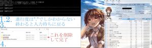 cipher /wの実行状態と実験対象HDDのCDI